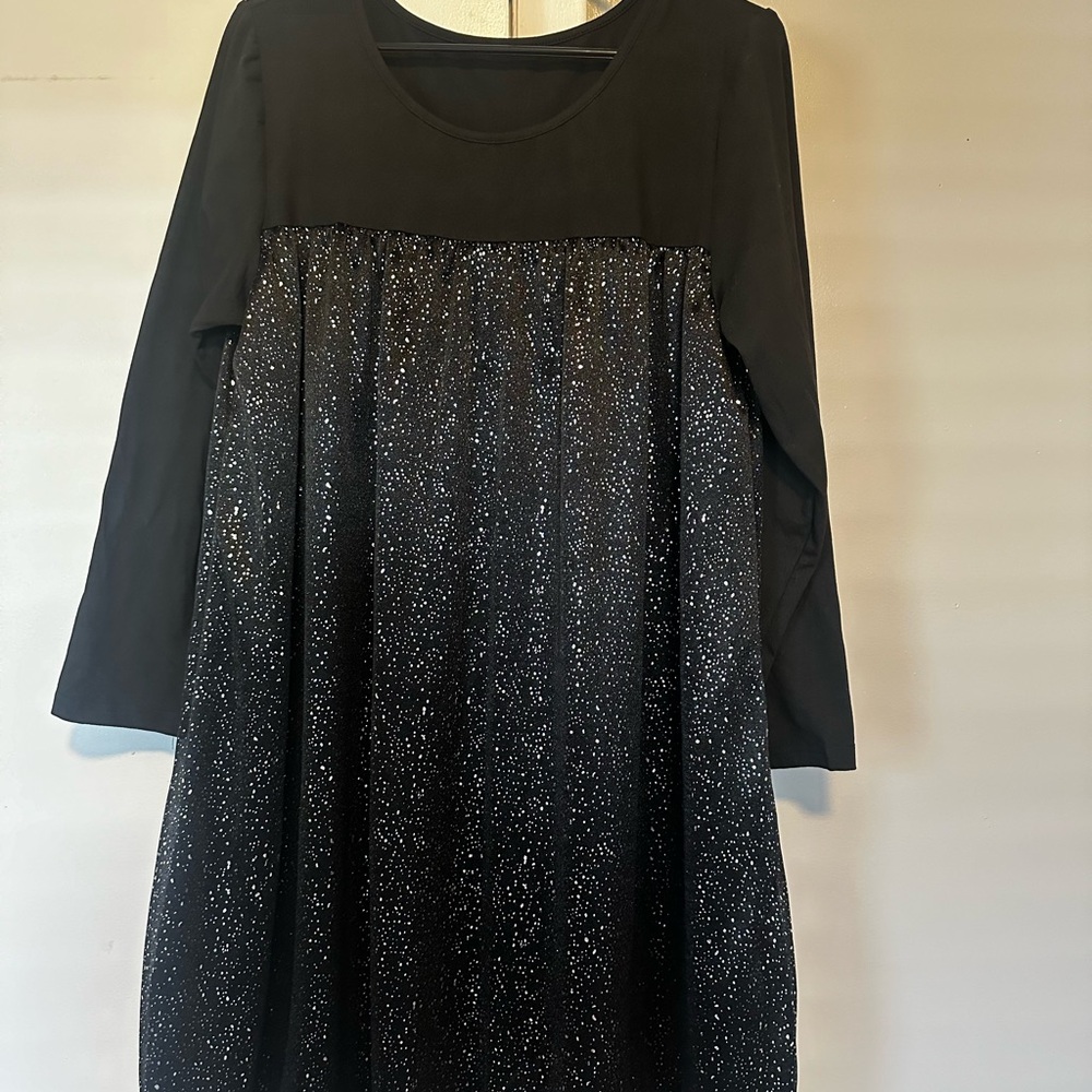 Ladies long sleeve back and silver dress